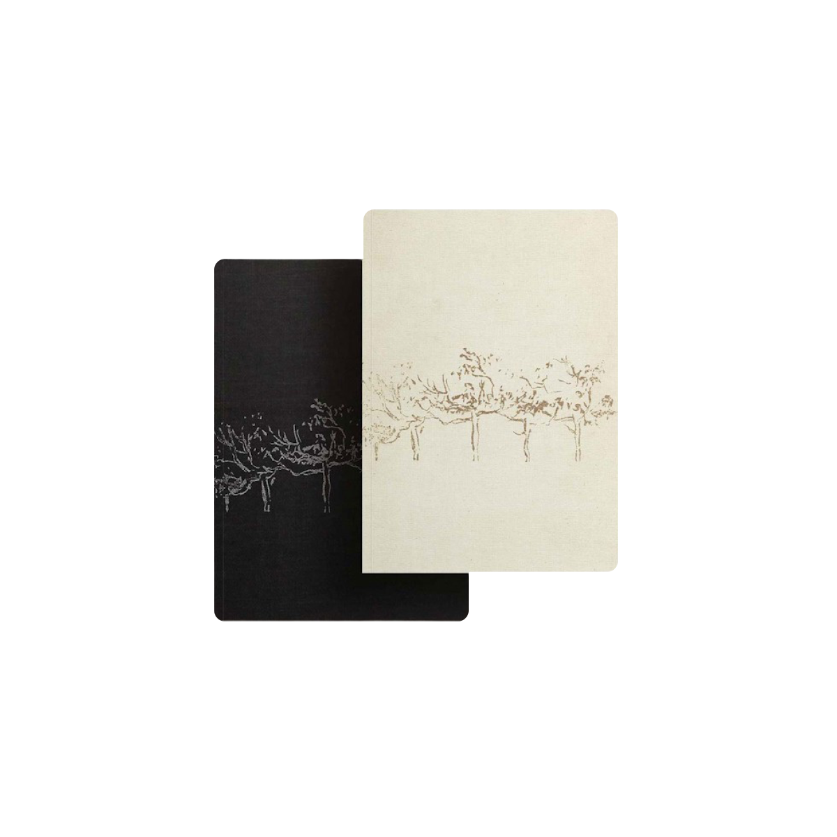 notebooks and drawings of louis i. khan