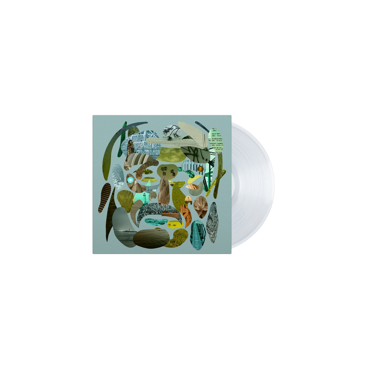 santa cruz vinyl